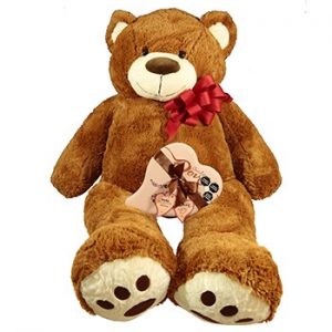 Oso Teddy Chocolate